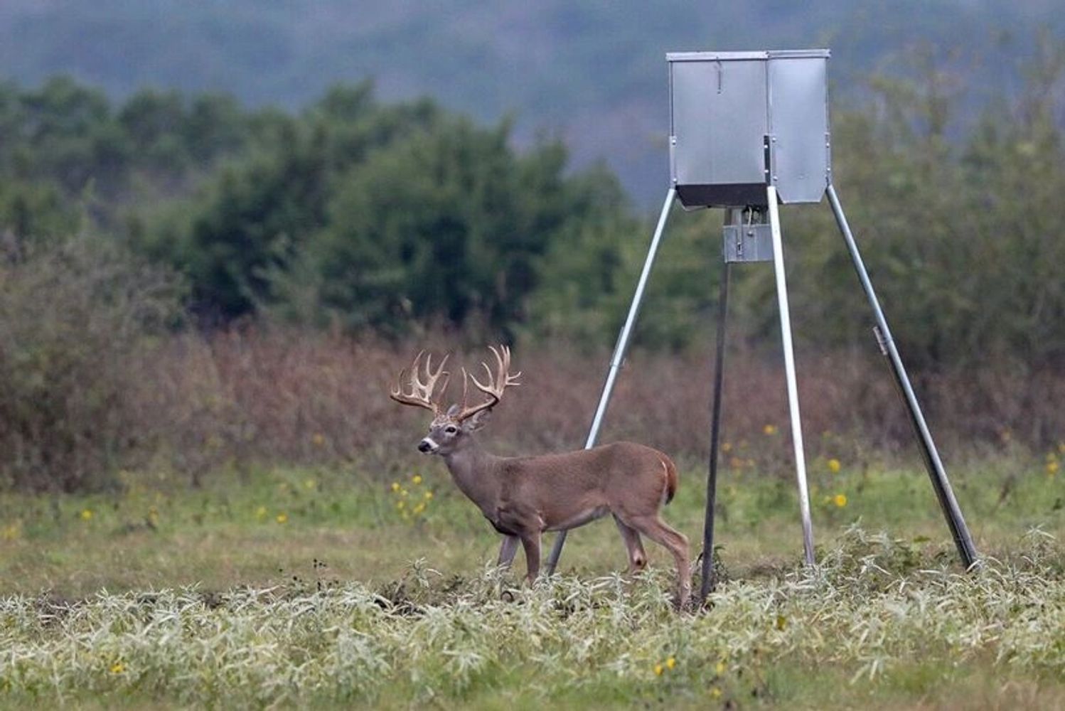 Uvalde Producers Feed LLC